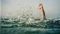 17 Year Old Drowns in Saran River Body Found After Long Search