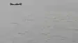 Gandak Flood Alert in Bagaha Residents Told to Move to Safety