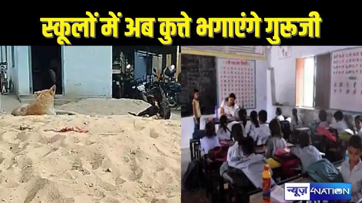 BIHAR TEACHER NEWS - बिहार के गुरुजी अब कुत्ता भगाएंगे, शि BIHAR TEACHER NEWS - बिहार के गुरुजी अब कुत्ता भगाएंगे, शि