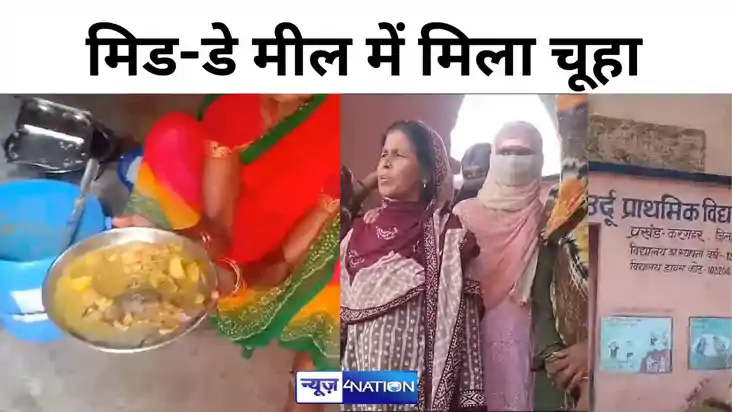 मिड डे मील के खाना में मिला मरा हुआ चूहा, खाते ही उल्टी करन मिड डे मील के खाना में मिला मरा हुआ चूहा, खाते ही उल्टी करन