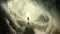 Life after Death