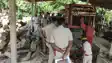 वन विभाग का बड़ा एक्शन: बिहपुर में 3 अवैध आरा मिलें सील, महंगी लकड़ियां और मशीनें जब्त