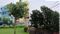 Bihar weather Yellow Alert in 17 Districts Rain  Thunder Till July 29