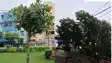Bihar weather Yellow Alert in 17 Districts Rain  Thunder Till July 29