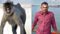 वाहन की टक्कर से बच्चे की मौत से खूंखार हुआ लंगूर,बदले में चालक की ली जान,अबतक डेढ़ दर्ज़न लोगों पर किया हमला