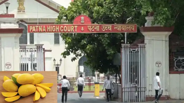 Bihar Mango price - आम की सही कीमतऔर पैकेजिंग को लेकर उत्पाद Bihar Mango price - आम की सही कीमतऔर पैकेजिंग को लेकर उत्पाद