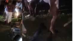 RJD Targets Govt Over Rajgir Double Mob Lynching