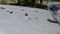 Uproar during Tazia procession police vehicle pelted with stones 
