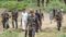 Nalanda STF Jawan Dies in Accidental Gunshot in Jehanabad