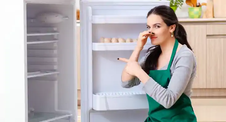  Fridge Cleaning Tips