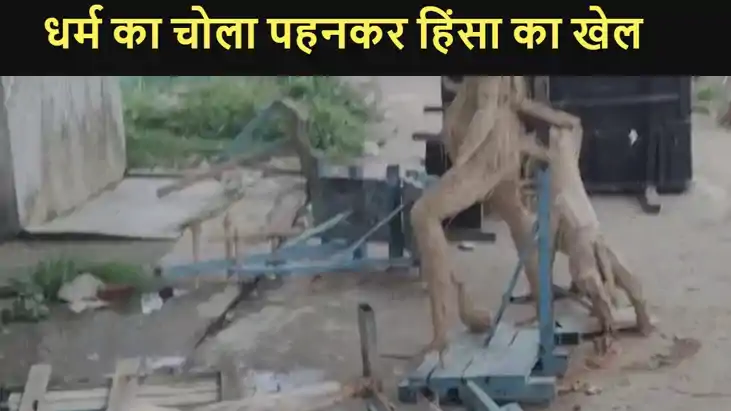 Munger Fight in Mahamada Patam