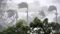 Bihar Weather Bihar Weather
