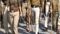 Bihar Crime:थानेदार की गुंडागर्दी! नशे में धुत होकर पुलिस टीम को किया परेशान, डायल 112 की कार्रवाई ठप Bihar Crime:थानेदार की गुंडागर्दी! नशे में धुत होकर पुलिस टीम को किया परेशान, डायल 112 की कार्रवाई ठप