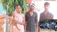 Patna CRime - तेरा कबूतर मेरी छत पर दाना चुगने क्यों आया... पटना में दो गुटों में इस बात पर चल गई लाठियां, कई लोग घायल