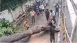 Bihar News : पटना के शेखपुरा मोड़ पर तेज हवाओं से गिरा विशालकाय पेड़, घंटों बाधित रहा आवागमन, लोगों को हुई परेशानी  