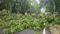  Bihar Weather