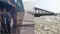 Bihar on flood alert as Gandak and Kosi rivers rise rapidly