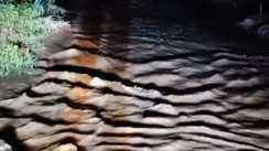 Bagmati Crosses Danger