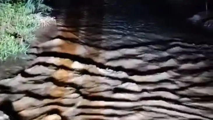 Bagmati Crosses Danger
