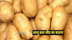 हत्या