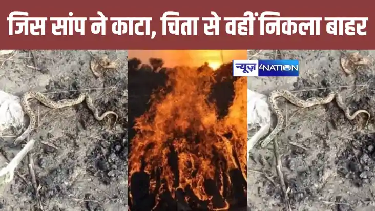 सांप काटे शख्स के साथ अजीबो-गरीब लपारवाही, ना अस्पताल, ना पु