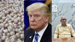 Trump tariff attacks Bihar exports 