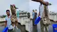 Bihar News ; सासाराम में वन विभाग की टीम ने 8 किलो वजनी उल्लू का किया रेस्क्यू, दो घंटे बाद जंगल में छोड़ा 