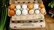 Egg prices