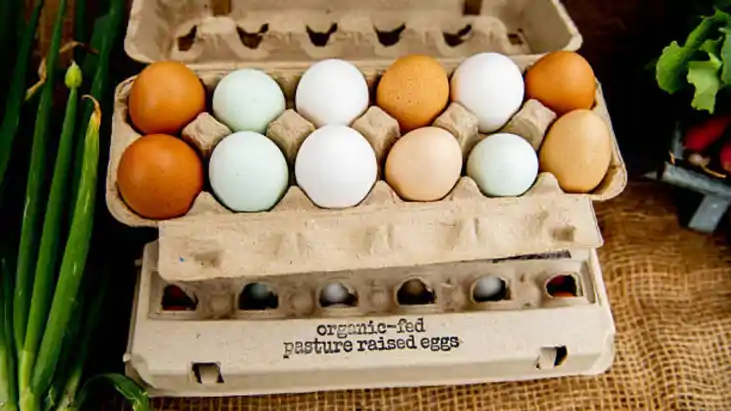 Egg prices