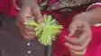 Katihar Revives Its Jute City Identity With Handmade Jute Rakhis