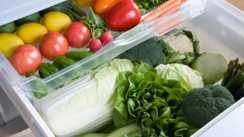 Vegetables fridge