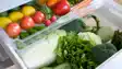 Vegetables fridge