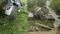 Aircraft Crash 