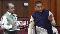 मंगल पांडे 