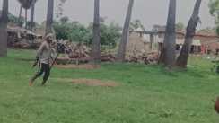 Gaya Armed Men Attack Farmer During Paddy Planting in Village