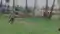Gaya Armed Men Attack Farmer During Paddy Planting in Village