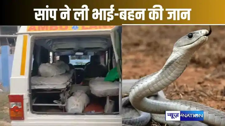 सांप के डंसने से भाई-बहन की मौत, घर में एक साथ दो बच्चों की 