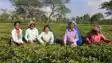 Bihar JEEVIKA