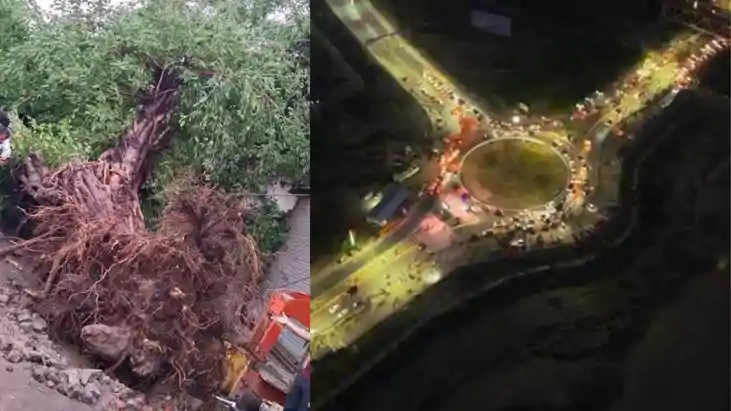 Development vs Green Cover JP Ganga Path Road Sparks Debate 