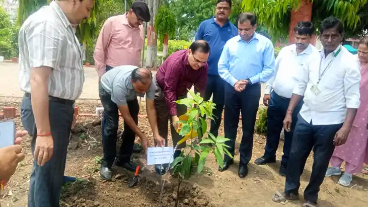 Bihar News : दीघा के दुधिया मालदह का दूसरे जिलों में होगा क्