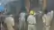 Patna Fire Chaos Marufganj Market Engulfed Panic Spreads