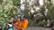 Bihar Storm Havoc 7 Dead Trees Fall Blackout in Bhagalpur
