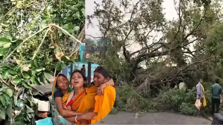 Bihar Storm Havoc 7 Dead Trees Fall Blackout in Bhagalpur