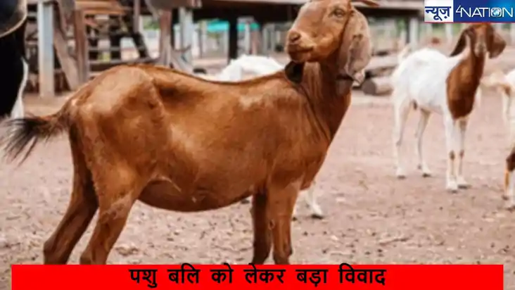  Bihar News: बड़हिया के प्रसिद्ध जगदम्बा मंदिर में बकरे की ब