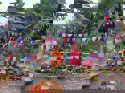 मुजफ्फरपुर के शहीद खुदीराम बोस केंद्रीय कारा में छठ की धूम, 50 महिला और 40 पुरुष बंदी कर रहे छठ का व्रत