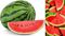  watermelon