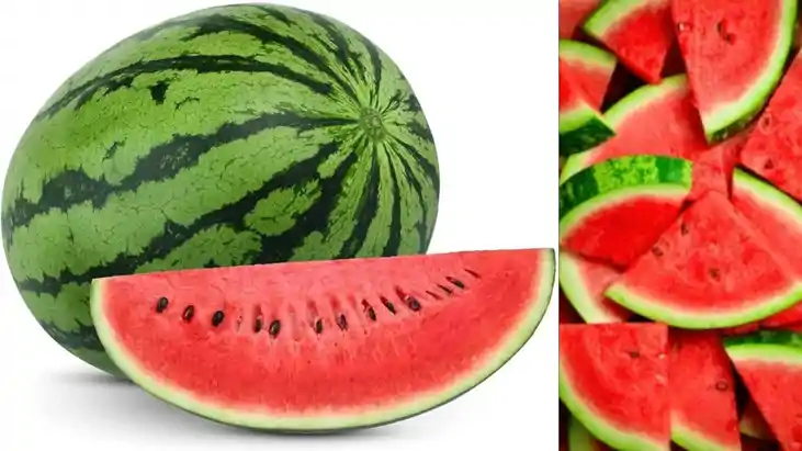  watermelon