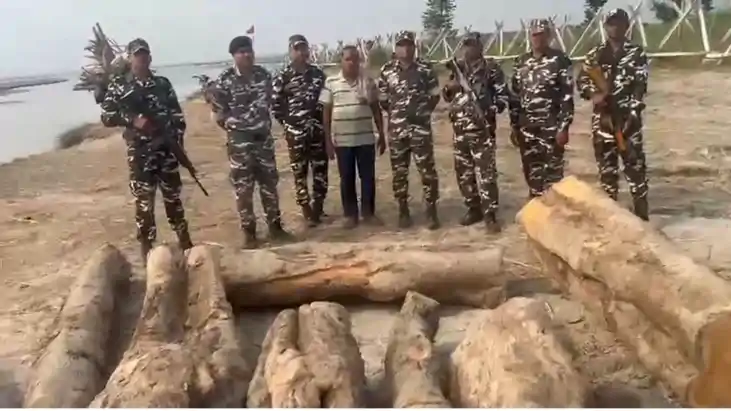 एसएसबी ने नदी मार्ग से हो रही लकड़ी तस्करी का किया भंडाफोड़,