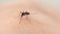 Dengue havoc in Patna 
