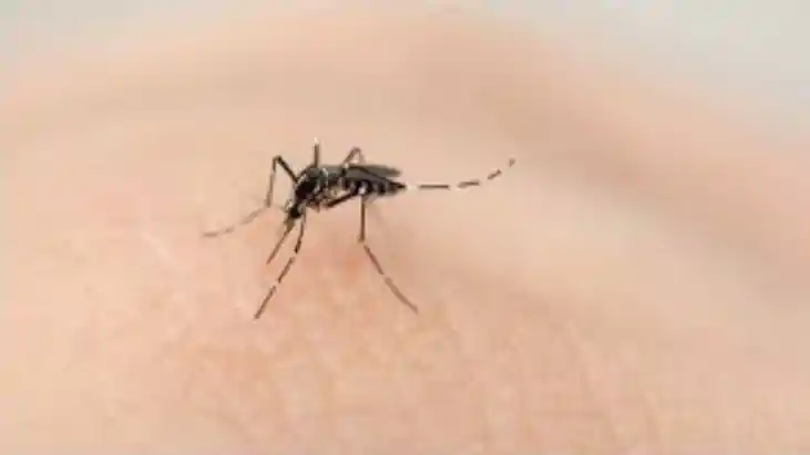 Dengue havoc in Patna 